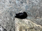 Black Cat D20 Dice DnD Enamel Pin