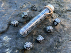Black White "Black Dragon" DnD 7 Polyhedral Dice Set in Potion Flask