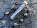 Black White "Black Dragon" DnD 7 Polyhedral Dice Set in Potion Flask