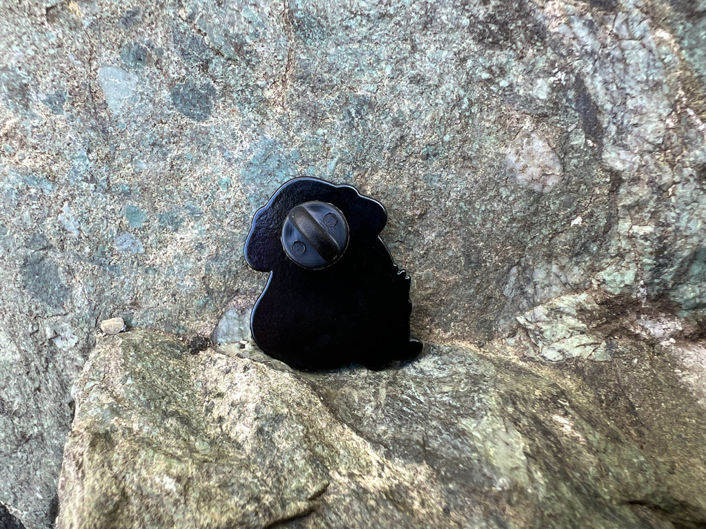 Mushroom Wizard Frog DnD Enamel Pin