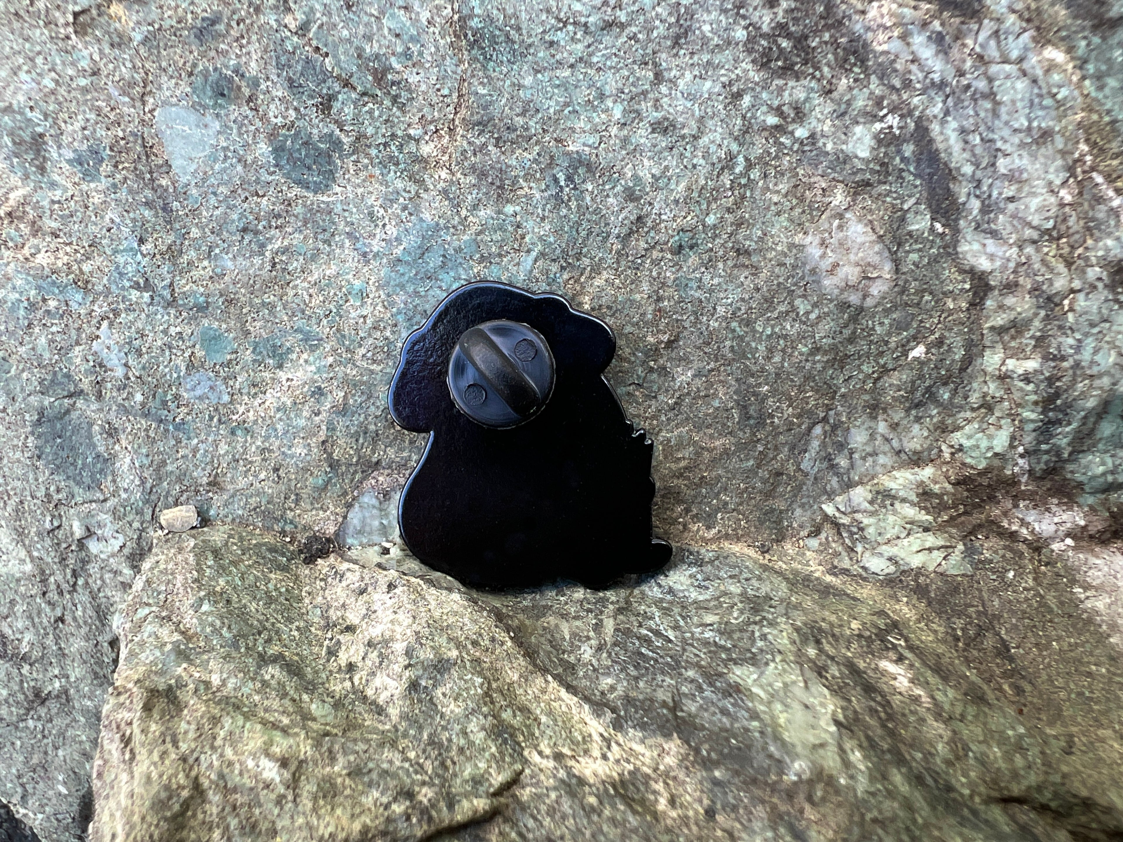 Mushroom Wizard Frog DnD Enamel Pin